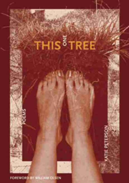 This One Tree, Paperback / softback Book