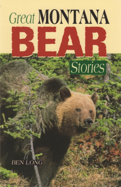 Great Montana Bear Stories, Paperback / softback Book
