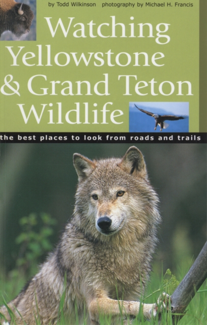 Watching Yellowstone and Grand Teton Wildlife : The Best Places to Look from Roads and Trails, Paperback Book