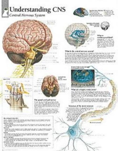 Understanding CNS Paper Poster, Poster Book