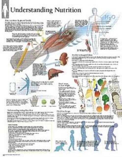 Understanding Nutrition Laminated Poster, Poster Book