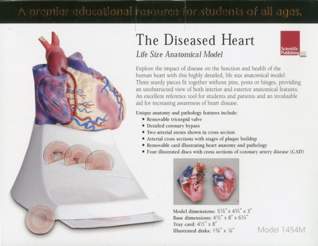 Life Size Diseased Heart Model, Other merchandise Book