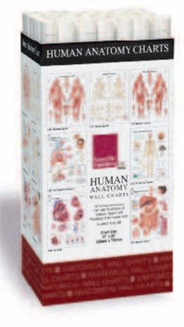 Human Anatomy Charts -- 48 Chart Merchandiser, Poster Book