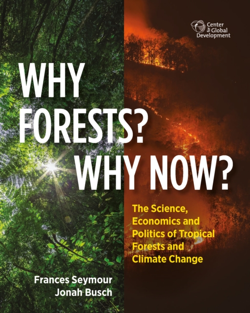 Why Forests? Why Now? : The Science, Economics, and Politics of Tropical Forests and Climate Change, EPUB eBook