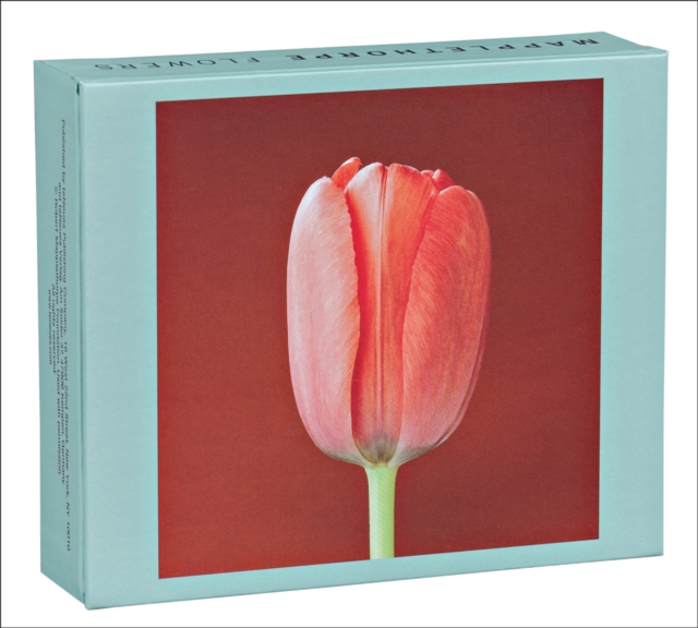 Mapplethorpe Flowers QuickNotes, Cards Book