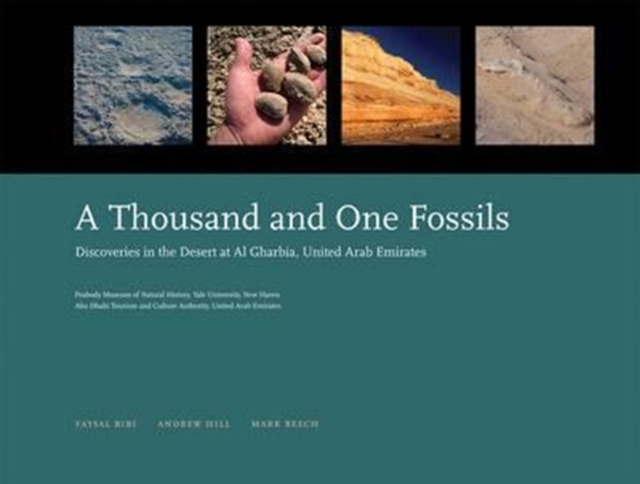 A Thousand and One Fossils : Discoveries in the Desert at Al Gharbia, United Arab Emirates, Hardback Book