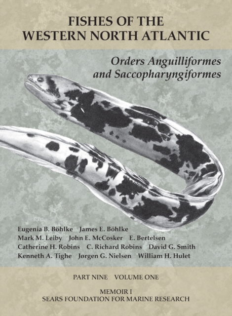 Orders Anguilliformes and Saccopharyngiformes : Part 9, Volume 1, PDF eBook