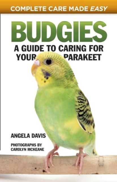 Budgies : A Guide to Caring for Your Parakeet, Paperback / softback Book