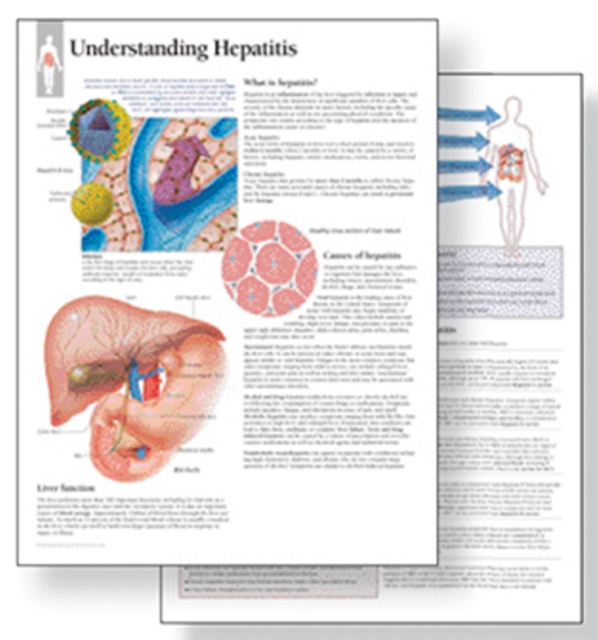 Understanding Hepatitis Study Set Replacement Pads : Patient Education Study Sets, Paperback / softback Book
