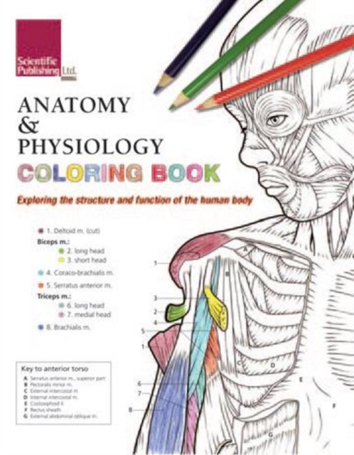 Anatomy & Physiology Colouring Book : Exploring the Structure & Function of the Human Body, Paperback / softback Book