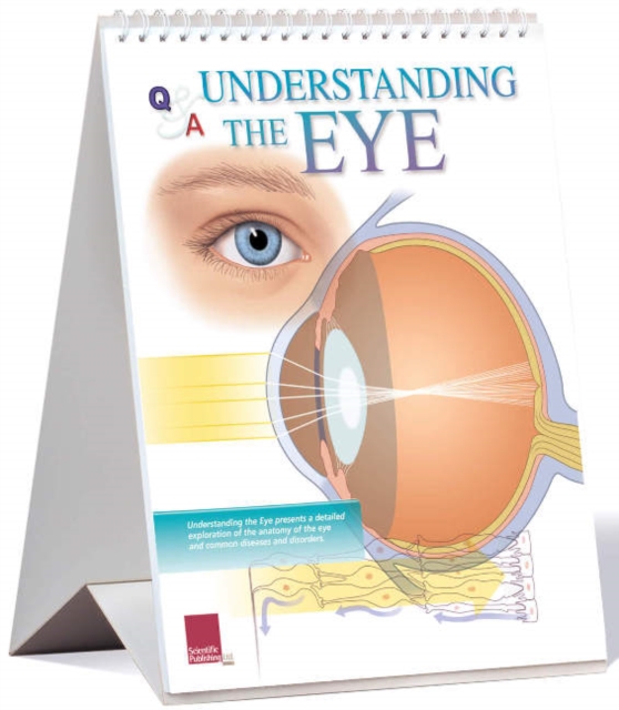 Understanding The Eye Flip Chart, Paperback / softback Book
