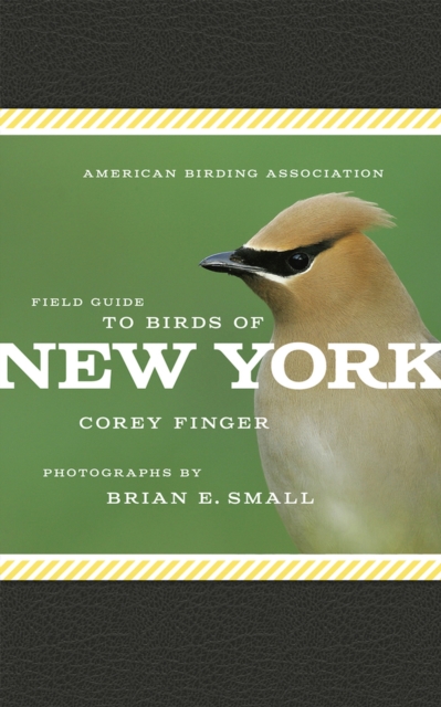 American Birding Association Field Guide to Birds of New York, Paperback / softback Book