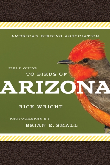 American Birding Association Field Guide to Birds of Arizona, Paperback / softback Book