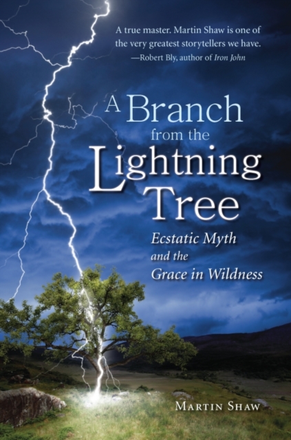 A Branch from the Lightning Tree : Ecstatic Myth and the Grace of Wildness, Paperback / softback Book