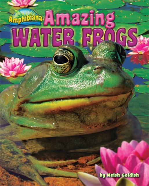 Amazing Water Frogs, PDF eBook