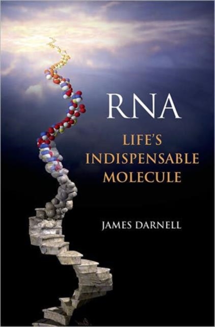 RNA : Life's Indispensable Molecule, Hardback Book