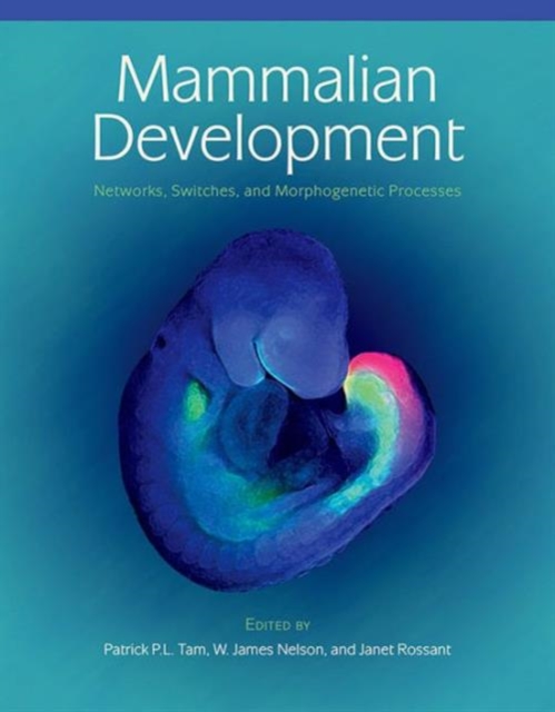 Mammalian Development: Networks, Switches, and Morphogenetic Processes, Hardback Book