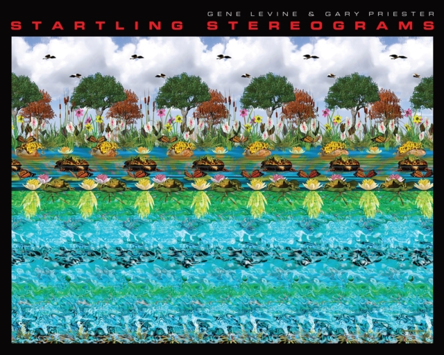Startling Stereograms, Paperback / softback Book