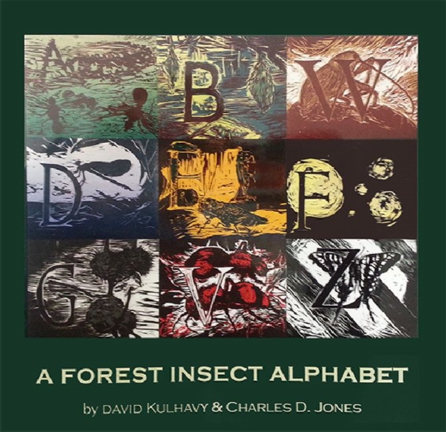 A Forest Insect Alphabet, Hardback Book