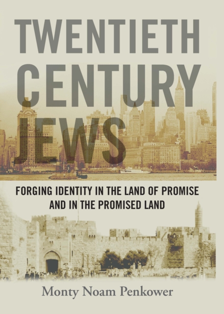 Twentieth Century Jews : Forging Identity in the Land of Promise and in the Promised Land, Hardback Book