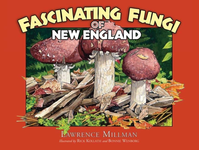 Fascinating Fungi of New England, Paperback / softback Book