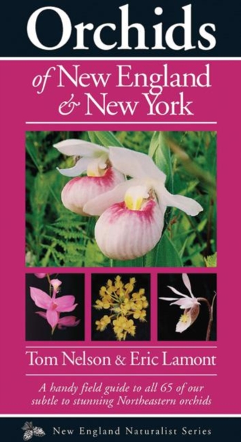 Orchids of New England & New York, Paperback / softback Book