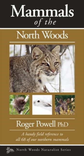 Mammals of the North Woods, Paperback / softback Book