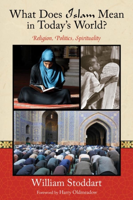 What Does Islam Mean in Today's World? : Religion, Politics, Spirituality, EPUB eBook