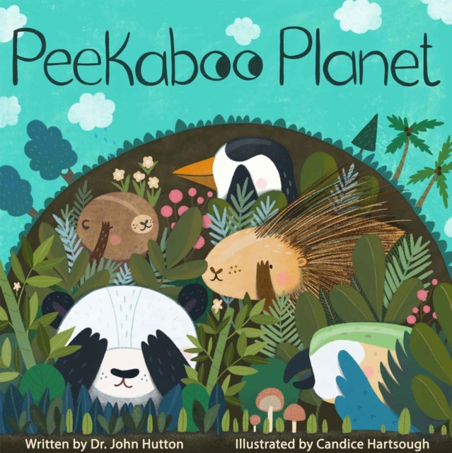 Peekaboo Planet, Board book Book