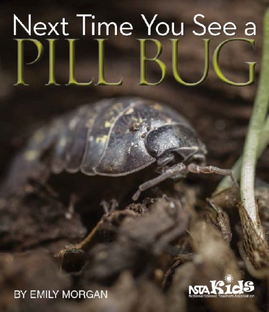 Next Time You See a Pill Bug, Paperback / softback Book