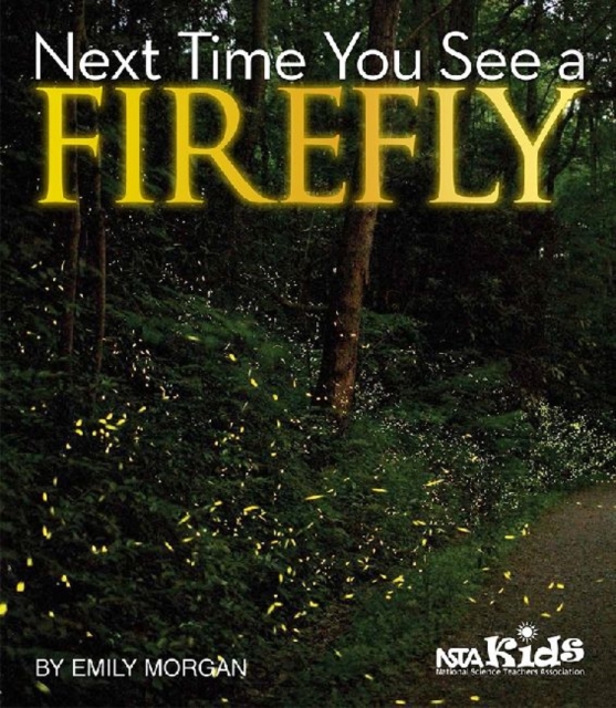 Next Time You See a Firefly, Paperback / softback Book