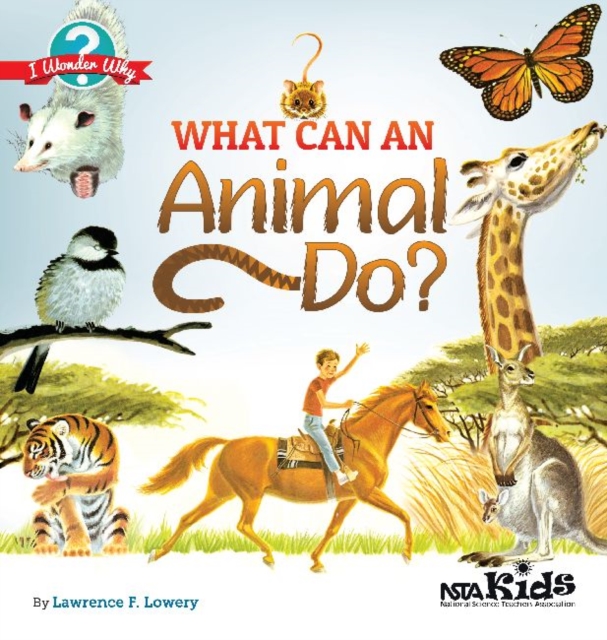 What Can an Animal Do?, Paperback / softback Book