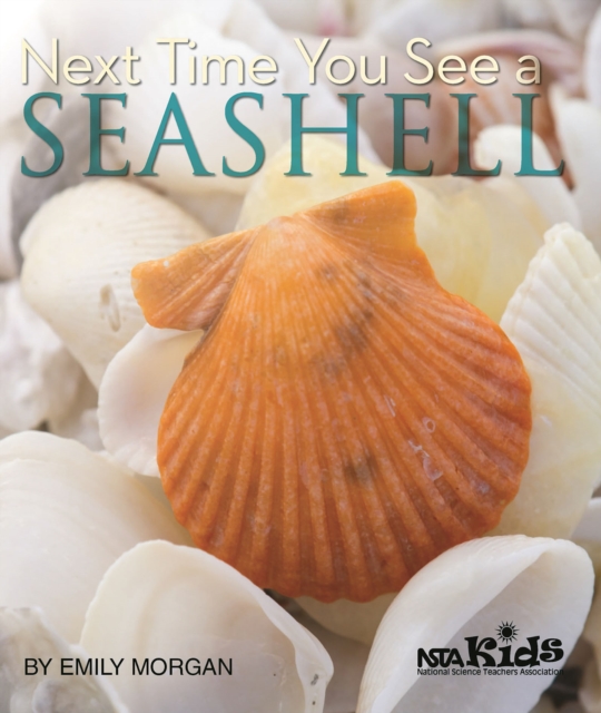 Next Time You See a Seashell, PDF eBook