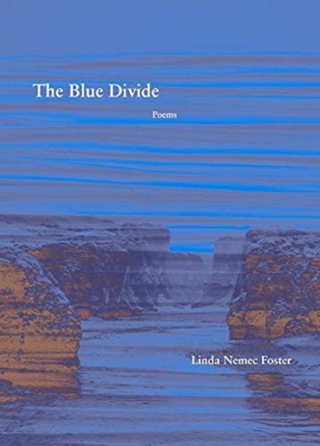 The Blue Divide - Poems, Paperback / softback Book
