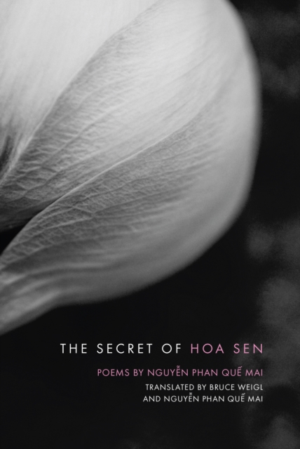 The Secret of Hoa Sen, Paperback / softback Book