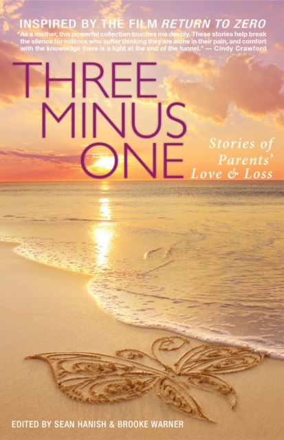 Three Minus One : Stories of Parents' Love and Loss, Paperback / softback Book