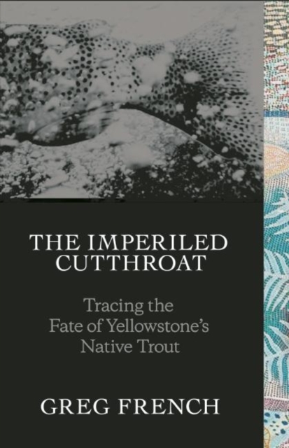 The Imperiled Cutthroat : Tracing the Fate of Yellowstone's Native Trout, Hardback Book