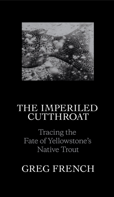 The Imperiled Cutthroat : Tracing the Fate of Yellowstone's Native Trout, EPUB eBook