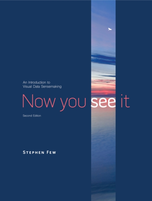 Now You See It : An Introduction to Visual Data Sensemaking, Hardback Book