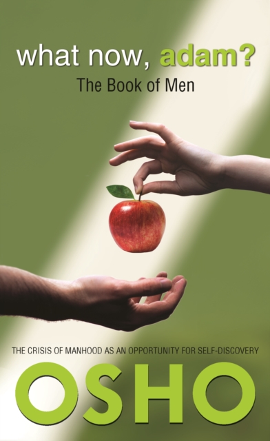 What Now, Adam? : The Book of Men, Paperback / softback Book
