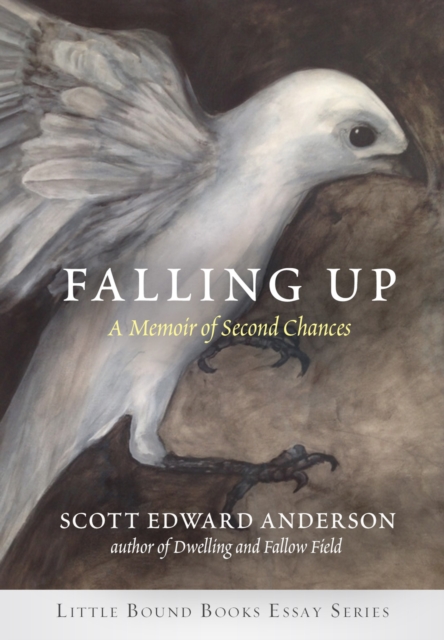 Falling Up : A Memoir of Second Chances, EPUB eBook