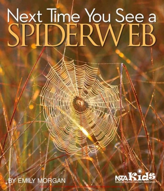 Next Time You See a Spiderweb, Paperback / softback Book