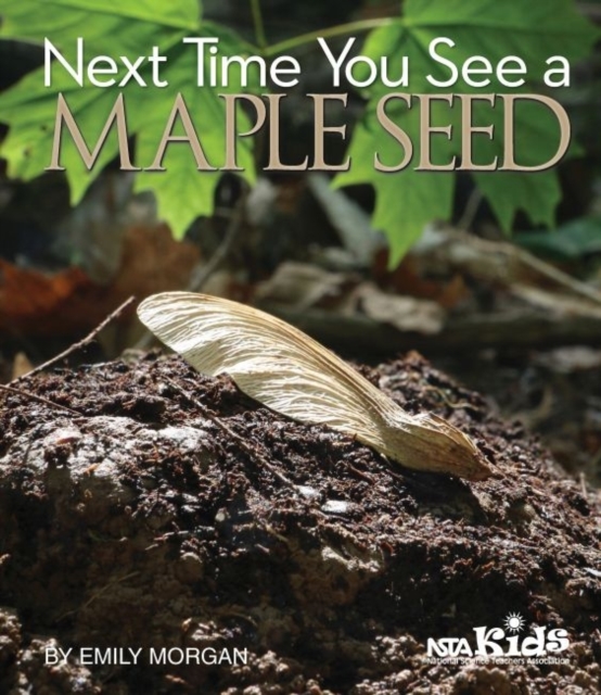 Next Time You See a Maple Seed, Paperback / softback Book