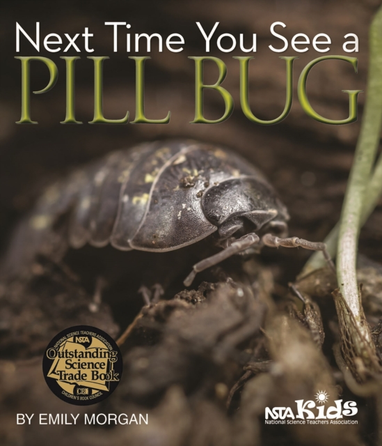 Next Time You See a Pill Bug, PDF eBook