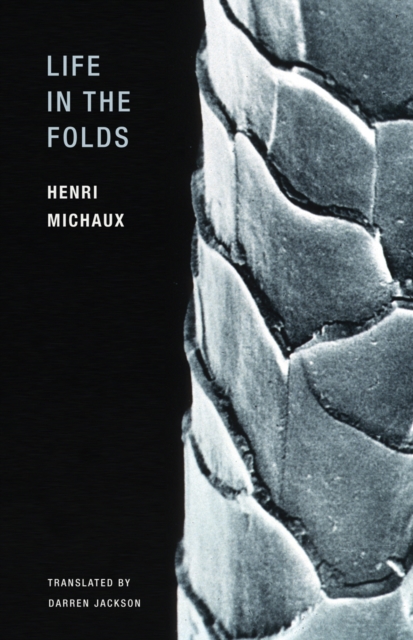Life in the Folds, Paperback / softback Book
