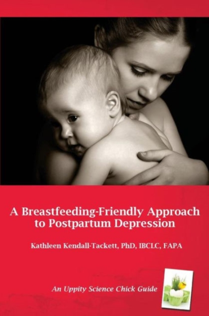 A Breastfeeding Friendly Approach to Postpartum Depression: A Resource Guide for Health Care Providers, Paperback / softback Book