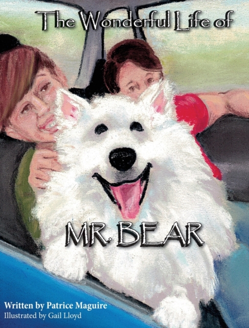 The Wonderful Life of Mr. Bear, Hardback Book