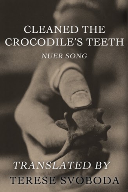 Cleaned the Crocodile's Teeth, EPUB eBook