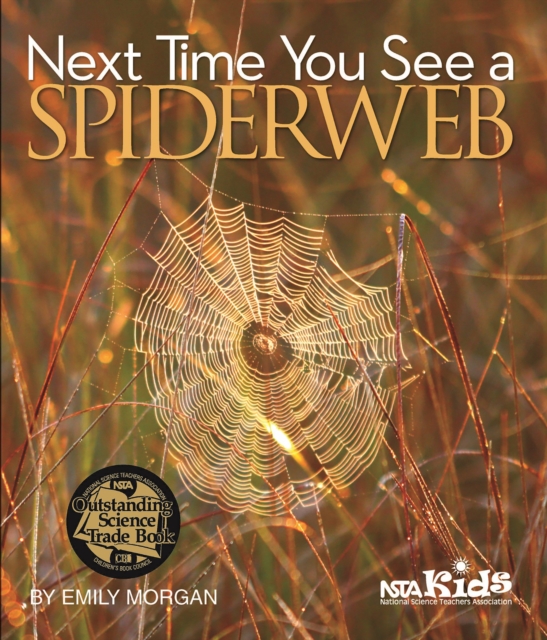 Next Time You See a Spiderweb, PDF eBook