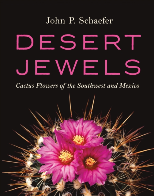 Desert Jewels : Cactus Flowers of the Southwest and Mexico, PDF eBook